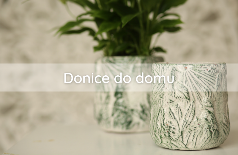 Donice do domu